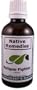 Fatigue Fighter Native Remedies Increase Energy 50 Ml