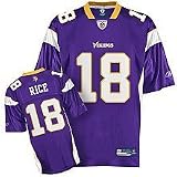 Sidney Rice #18 Minnesota Vikings Jersey Size 2xl (Purple)