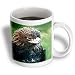 Birds - Golden Eagle - Mugs