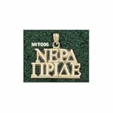 IMAGE OF Massachusetts Institute of Technology Engineers