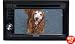 Kenwood DNX5140 6.1-Inch Wide Double-DIN In-Dash Nagivation with USB/iPod Direct Control/DVD Receiver