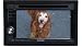Kenwood DNX5140 6.1-Inch Wide Double-DIN In-Dash Nagivation with USB/iPod Direct Control/DVD Receiver