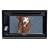 Kenwood DNX5140 6.1-Inch Wide Double-DIN In-Dash Nagivation with USB/iPod Direct Control/DVD Receiver