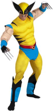 Adult X-Men Wolverine Halloween Costume