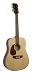 Johnson JD-06-12L Songwriter II 12-String Acoustic Guitar, Left-Handed