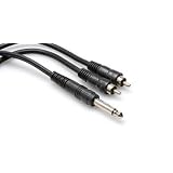 Y Cable 1M 1/4" Ts To Dual Rca With White Earbud Headphones