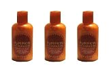 Bath & Body Works Temptations Pumpkin Pie Paradise 3-in-1 Body Wash, Bubble Bath, & Shampoo, 6 Fl. Oz. , 3 Bottles
