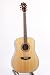Washburn WD20 Series WD20S Acoustic Guitar
