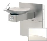 Garden Water Features & Outdoor Fountains item: Haws 1001MS-HIGHPOLISHEDSTAINLESS High Polished Stainless Barrier-free, stainless steel drinking fountain with sculpted bowl, back panel and in-the-wall mounting system. 1001MS