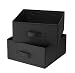 Honey-Can-Do SFT-01248 Accessory Drawers for Hanging Organizer, 2-Pack, Black