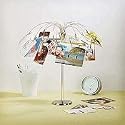 Umbra Fotofalls Metal Desktop Photo Holder
