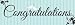 Two Love Birds Bridal Shower Giant Plastic Banner