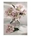 Alstroemeria in Vase Emerging Artists Photographic Poster Print by Susan Parslow, 8x10