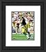 Framed Brett Favre Green Bay Packers Photograph