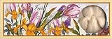 Saponificio Artigianale Fiorentino Iris Garden Soap Set From Italy