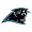 Carolina Panthers