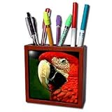 Birds - Green-Winged Macaw - Tile Pen Holders-5 inch tile pen holder