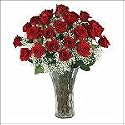 2 Dozen Red Roses - Overnight Shipping Only - Bits and Pieces Gift Store