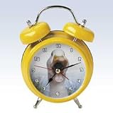 WACKY WAKER DUCK ALARM CLOCK