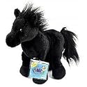 Webkinz Black Stallion
