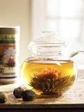 Primula Flowering Tea Set with 40-Ounce Pot with Glass Lid