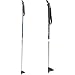 Alpina ASC ST Cross Country Ski Pole