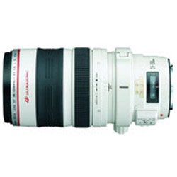 Canon EF 28-300mm f/3.5-5.6L IS USM Lens