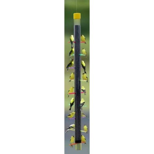 38  Tall Rainbow Perching Stations