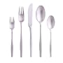 Dansk Variation V 5-Piece Place Setting, Service for 1