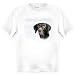 German Shorthaired Pointer Human Trainer Adult T Shirt
