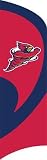 NCAA Iowa State Cyclones Tall Team Flag W/Pole.