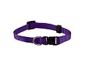 Small Solid Adjustable Pet Collar with EZ Snap Buckle, Purple
