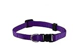 Pet Supplies : Small Solid Adjustable Pet Collar with EZ Snap Buckle, Purple