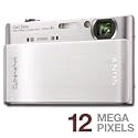 Sony Cyber-shot DSC-T900 12.1 MP Digital Camera with 4x Optical Zoom and Super Steady Shot Image Stabilization (Silver)