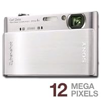 Sony Cyber-shot DSC-T900 12.1 MP Digital Camera with 4x Optical Zoom and Super Steady Shot Image Stabilization (Silver)