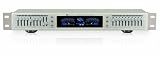 Technical Pro EQ-S5150 Professional Equalizer (Silver)