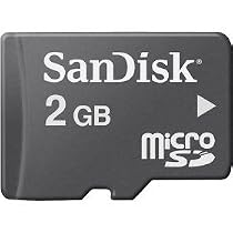 SanDisk SDSDQ-002G-A11M MicroSD 2GB Card (Black)