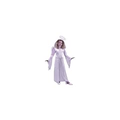 Heavenly Angel Velvet Girl's Halloween Costume Size Large (12-14) #5879 