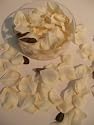 CREAM IVORY SILK ROSE PETALS - VALENTINE'S DAY, WEDDING FLOWERS, CONFETTI