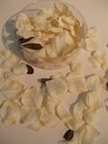 Cream Ivory Silk Rose Petals - Christmas, Wedding Flowers, Confetti
