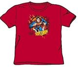 Superman Youth Size SORRY ABOUT THE WALL Kids Red T-shirt Tee Shirt