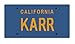 DIAMOND SELECT TOYS Knight Rider KARR License Plate Replica Action Figure Accessory