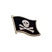 Pirate Flag Lapel Pin