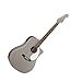Fender Acoustics Sonoran SCE Custom SHG