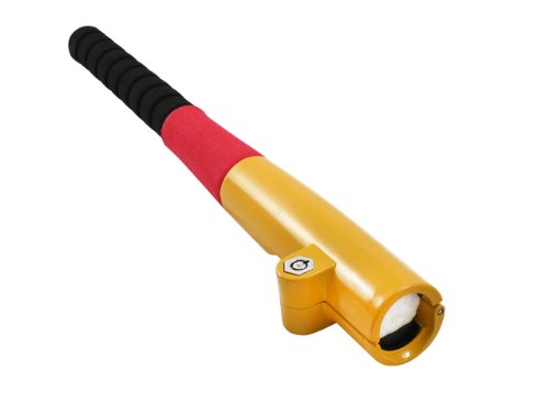 Brookstone Protect Baseball Bat Steering Lock