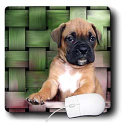 image link -  - B002I8BDOO