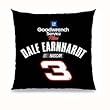 RCR #3 Team Toss Pillow 18x18 - NASCAR NASCAR Sports Team Merchandise