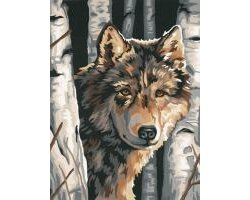 Wolf unter den Birken Malen nach