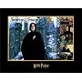 The Witches & Wizards of Harry Potter Collection: Severus Snape
