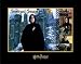 The Witches & Wizards of Harry Potter Collection: Severus Snape